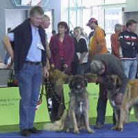 Salzburg Clubschau Mai 06 052 